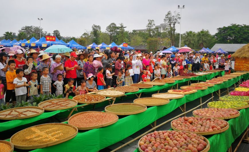 丰收的喜悦传四方——中农富通各基地欢庆首届中国农民丰收节