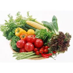 深圳市加工农产品产业链 批发、供应与厂家解析