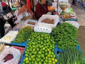 隆阳区11月中旬农产品市场价格动态 肉价持续下跌，农产品供应稳定